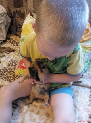 Наши домашние вдохновители и просто невозможные любимки! №129242