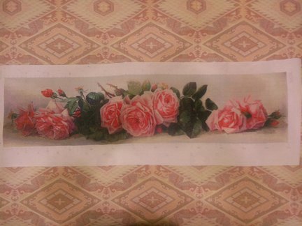 Мои французские розы №129781