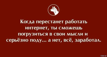 Наши домашние вдохновители и просто невозможные любимки! №130019