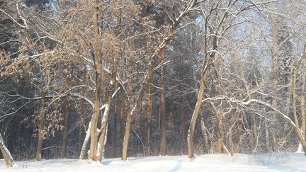 Закатный витраж с кошкой №131596