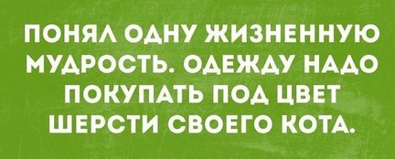 Наши домашние вдохновители и просто невозможные любимки! №133998