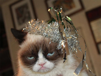 Наши домашние вдохновители и просто невозможные любимки! №134002