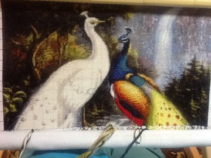 От дебюта и до ГК №134368