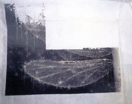 Девочка и лебедь №134582