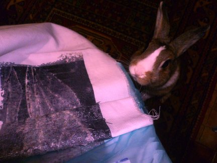 Девочка и лебедь №134583