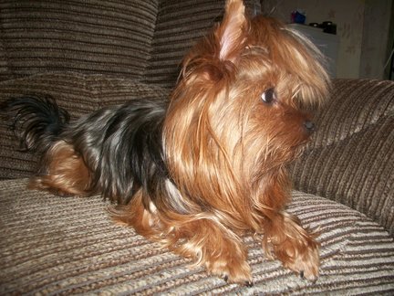 Оцените схему №134963