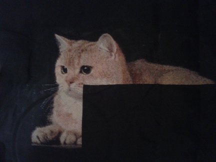 Мои два долгостроя №135098