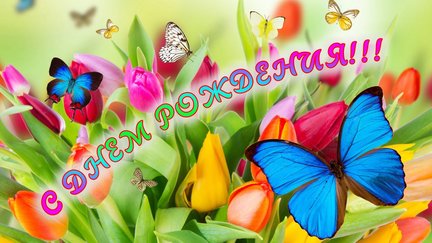 Закатный витраж с кошкой №137263