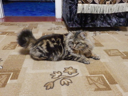 Органайзеры для мулине №139120