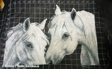 Белые кони №140299