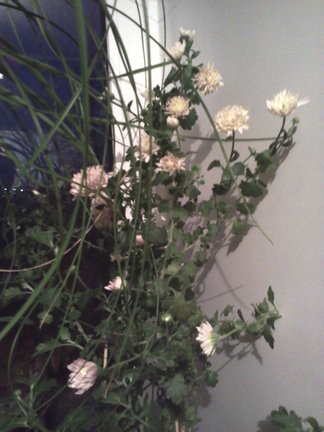 Наши домашние вдохновители и просто невозможные любимки, часть 2 №140722