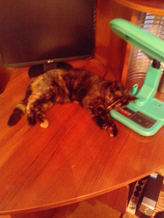 Наши домашние вдохновители и просто невозможные любимки, часть 2 №140771