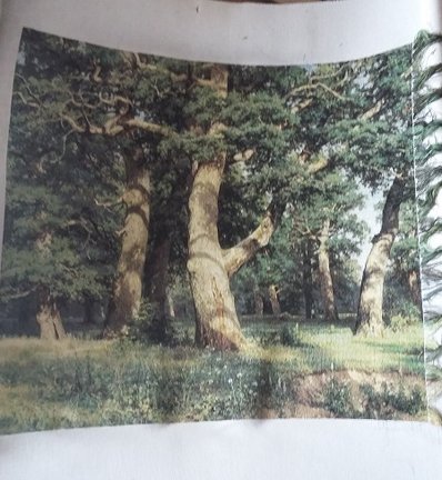 ГК 1302 «Дубовая роща» №142026