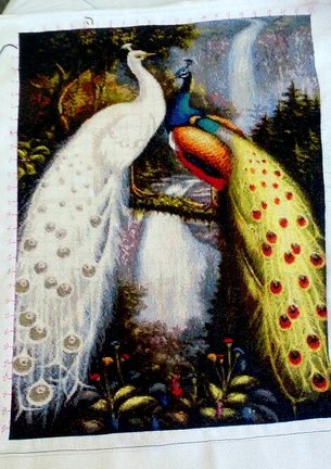 От дебюта и до ГК №142303