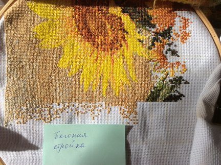 Подсолнушное с сайта вышивай.ру №142730