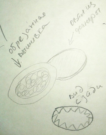 Страничка Сонет №144668