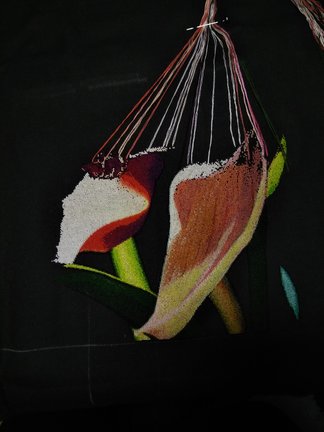 Орхидея №144807