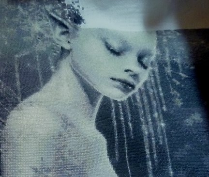 Девочка и лебедь №145743