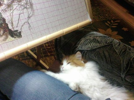 Цветы в чашке №147168