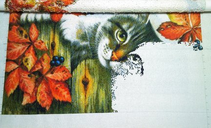 Мой котэ Кузя :) №148034