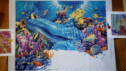 Дельфины в океане №148529