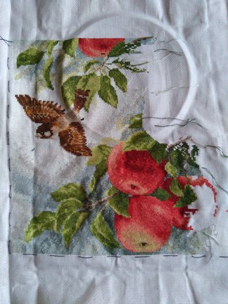 Лисы  и воробушки №149255