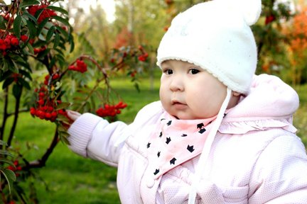 Вопрос по схемам №149609