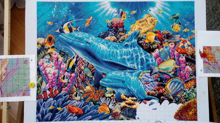Дельфины в океане №150213