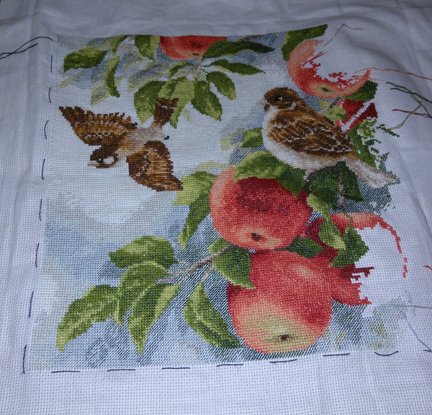 Лисы  и воробушки №150470