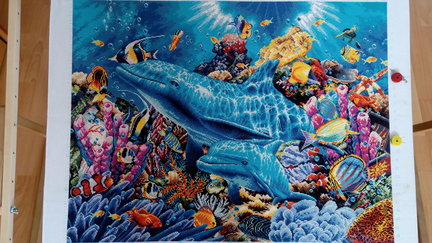 Дельфины в океане №150969