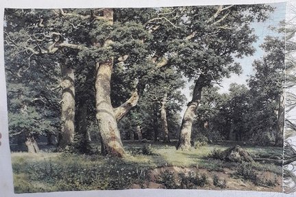 ГК 1302 «Дубовая роща» №152457