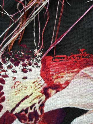 Орхидея №152594