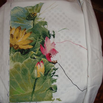 Лотос №153625