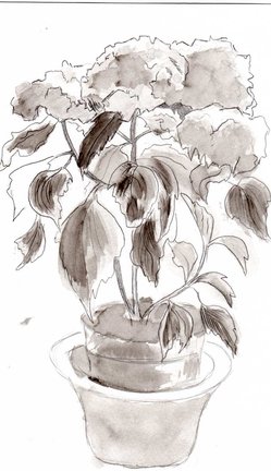 Мое хобби (рисование)... №153824