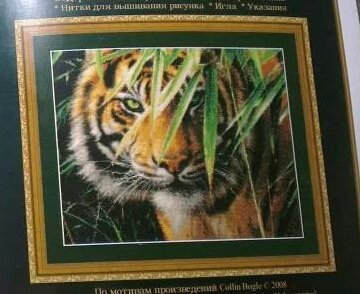 Планы на ближайшее время №153956