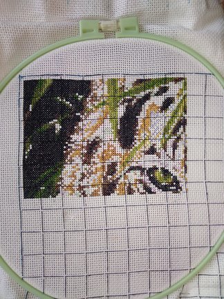 Планы на ближайшее время №153957