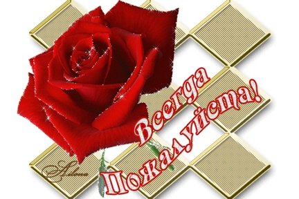 Цветы (сложные схемы) 2 набора №154040