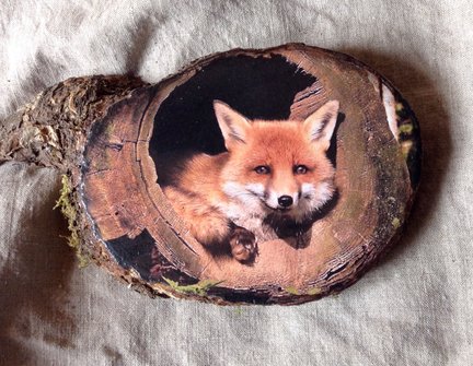 Черничный десерт №154618