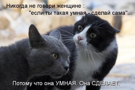 Весёлые картинки №156614