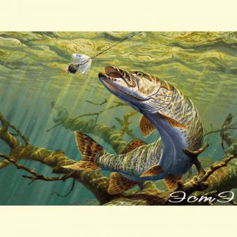 Производители сложных схем: Golden Kite и другие №156977