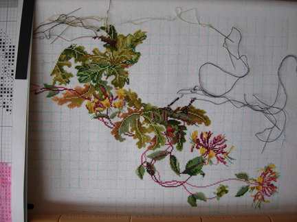 «Залетные» и не только №157914