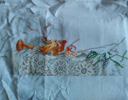 Гора, свободный полет, рябина, лисички, пахнет лесом №157951