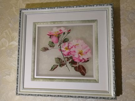 Розовый шиповник от Теи Гувенер №159206