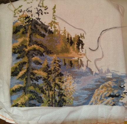 Гора, свободный полет, рябина, лисички, пахнет лесом №159581