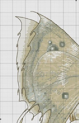 Схемы на личных примерах №160068