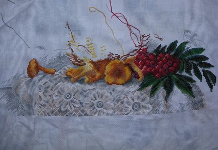 Гора, свободный полет, рябина, лисички, пахнет лесом №160082