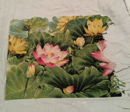 Лотос №160415