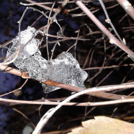 Девочка и лебедь №160546