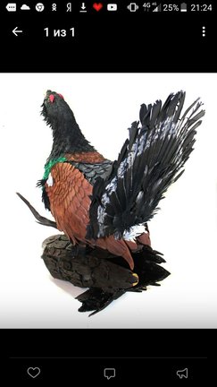 Творчество наших родных и близких №160653