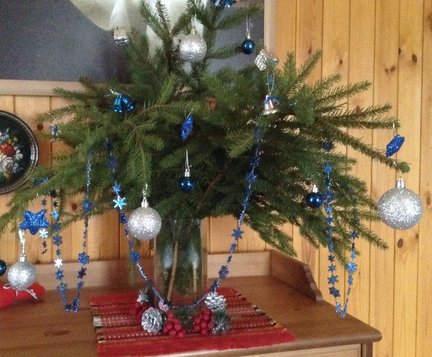 Наши ёлки №160801